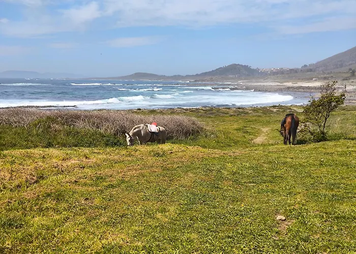 Διαμέρισμα Sobre El Mar Muros